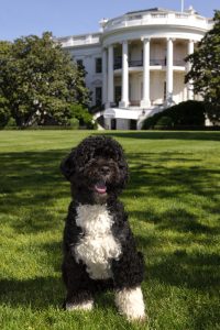 (Official White House Photo by Chuck Kennedy)